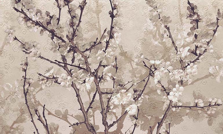 Apricot blossom wall mural wallpaper | Extradecor photo