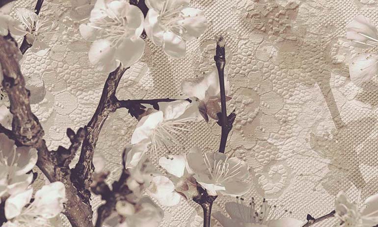 Apricot blossom wall mural wallpaper | Extradecor large fragment