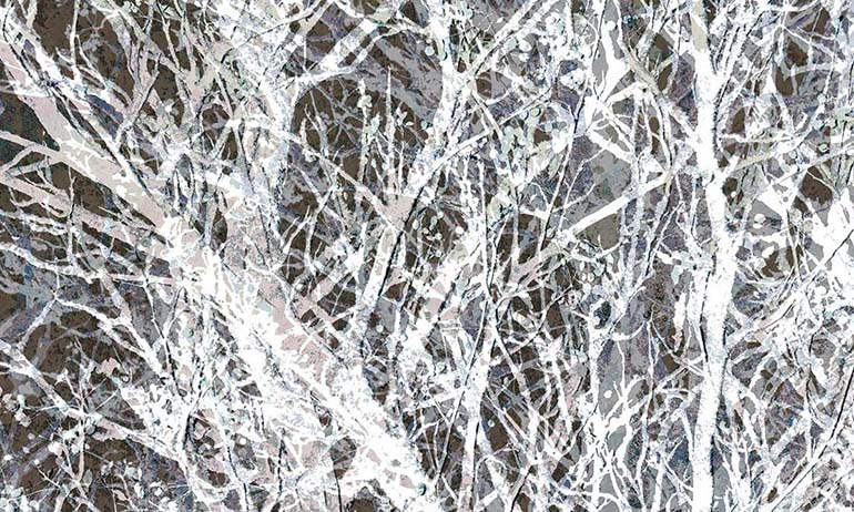 Winter trees night wall mural wallpaper | Extradecor large fragment